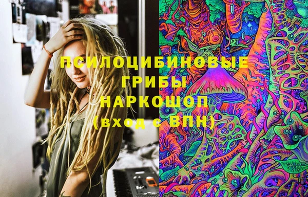дурь Арсеньев