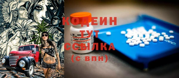 дурь Арсеньев