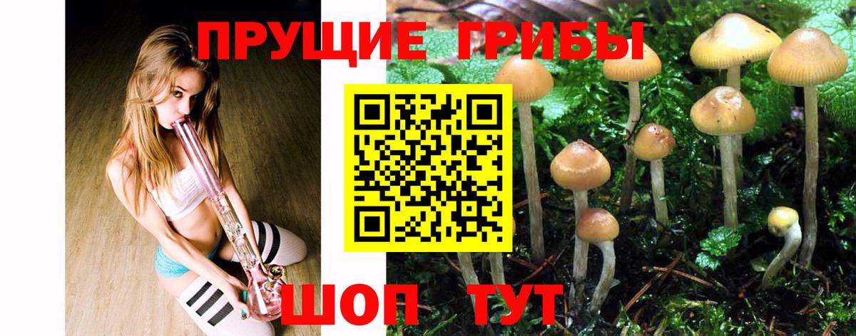 Воскресенск  Галлюциногенные грибы Magic Shrooms  Вход с VPN  сколько стоит  Псилоцибиновые грибы прущие грибы 
