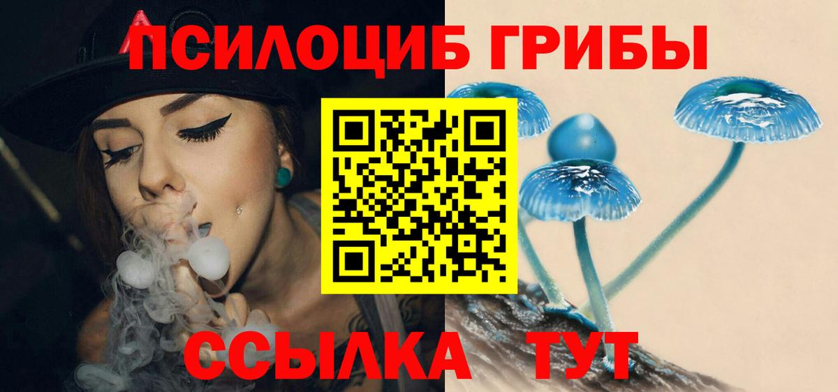 Псилоцибиновые грибы Psilocybine cubensis Воскресенск