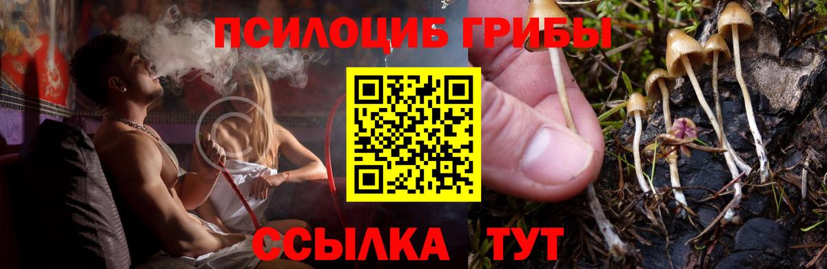 Псилоцибиновые грибы Magic Shrooms Воскресенск